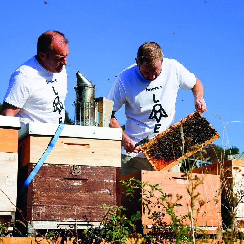 Bienenbeute